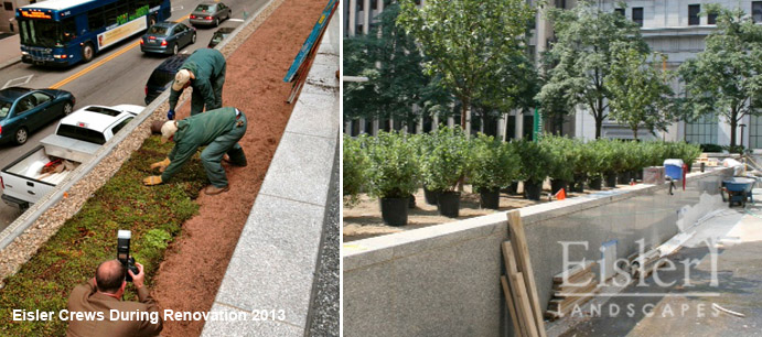 project-Mellon7