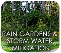 Rain Gardens & Storm Water Mitigation